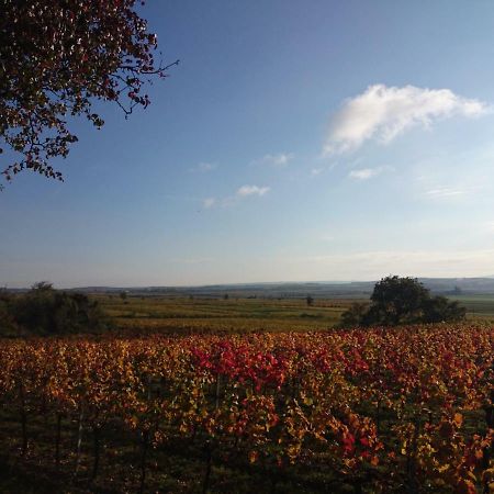 Weingut Wagner Lejlighed Leodagger Eksteriør billede