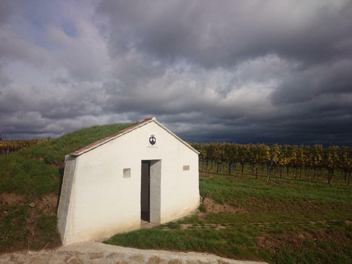 Weingut Wagner Lejlighed Leodagger Eksteriør billede